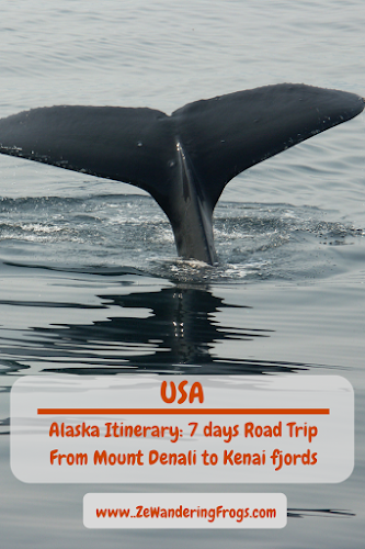 USA Alaska Itinerary 7 days road trip from Mount Denali to Kenai Fjords // Whale Watching Cruise