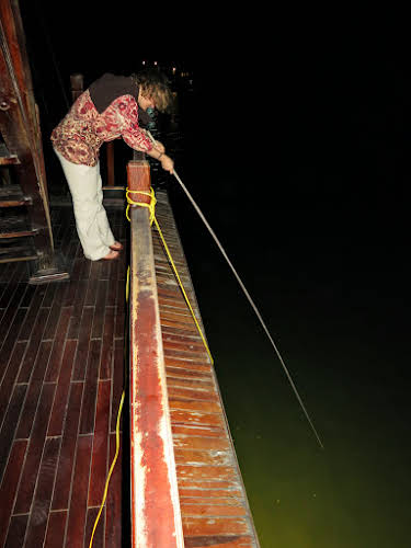 Night fishing for squids