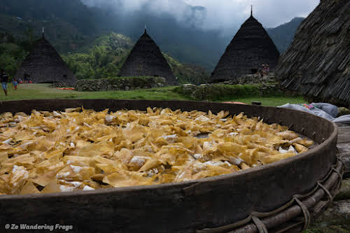 Wae Rebo Village: Learn about Flores Culture & Traditions // Drying bark in Wae Rebo