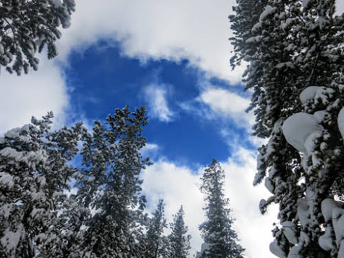 What to Do in Lake Tahoe in the Winter // Mount Rose Meadows, North Lake Tahoe