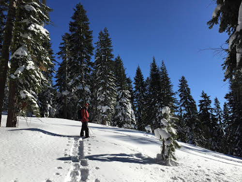 What to Do in Lake Tahoe in the Winter // Snowshoeing around Mount Rose, Nevada