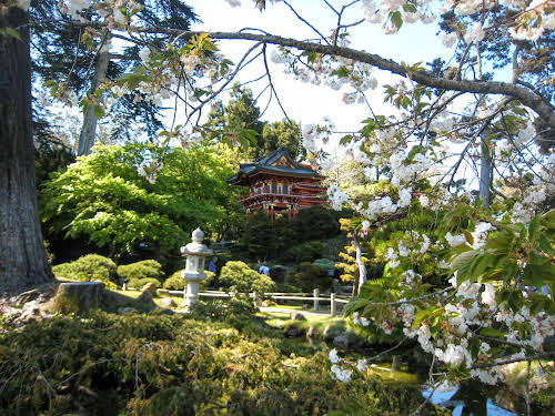 What to Do in Northern California: Attractions & Travel Guide // Japanese Tea Gardens, San Francisco
