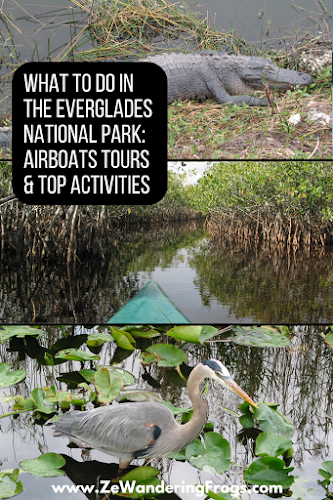 What to Do in the Everglades National Park Airboat Tours and Top Activities // Cormoran Wildlife Kayaking Horizontal