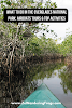 What to Do in the Everglades National Park Airboat Tours and Top Activities // Kayaking