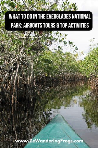 What to Do in the Everglades National Park Airboat Tours and Top Activities // Kayaking