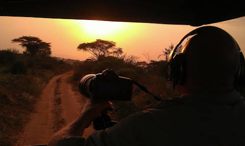 Why Travel to Uganda: Places to Visit & Things to See // Sunset on Safari - Photo Credit: Fixers Andy - Pixabay Free for commercial use-No attribution required