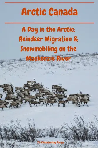 Arctic Canada Reindeers & Snowmobiling