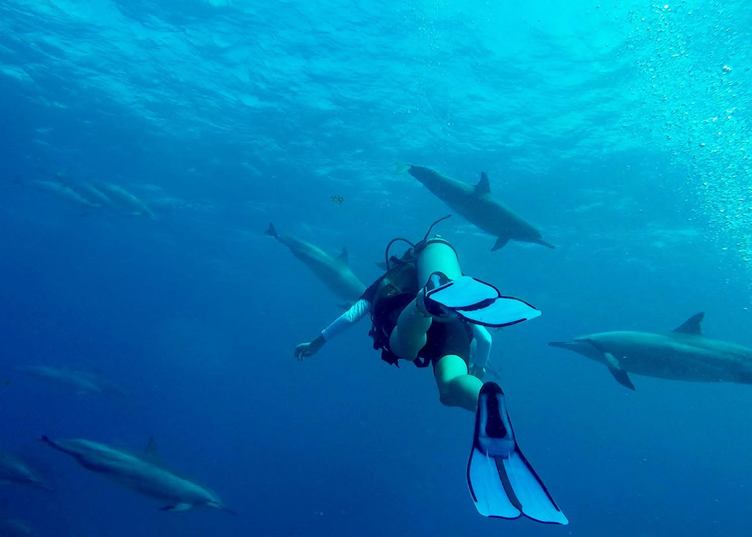 Tom Fernando de Noronha