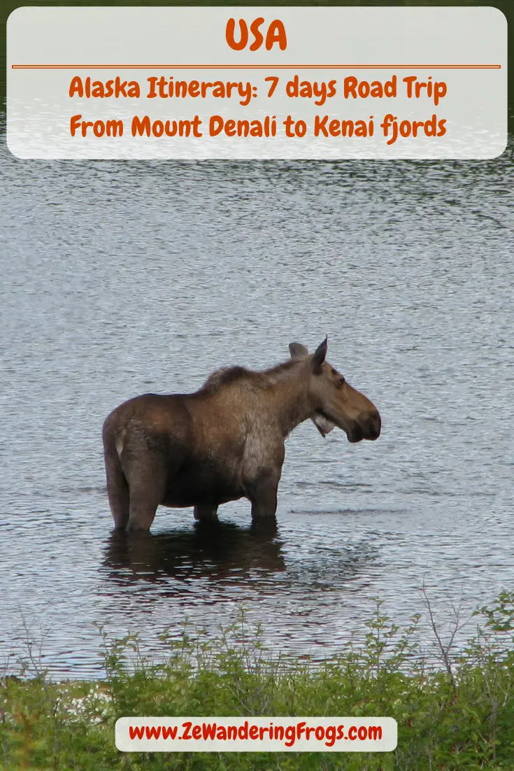 #Alaska #Itinerary 7 Days // #Denali Mountains